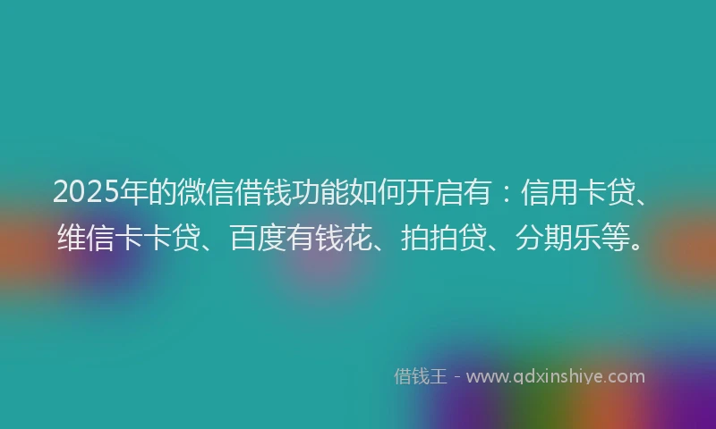 2025年的微信借钱功能如何开启有：信用卡贷、维信卡卡贷、百度有钱花、拍拍贷、分期乐等。