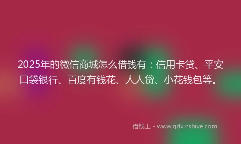 2025年的微信商城怎么借钱有：信用卡贷、平安口袋银行、百度有钱花、人人贷、小花钱包等。