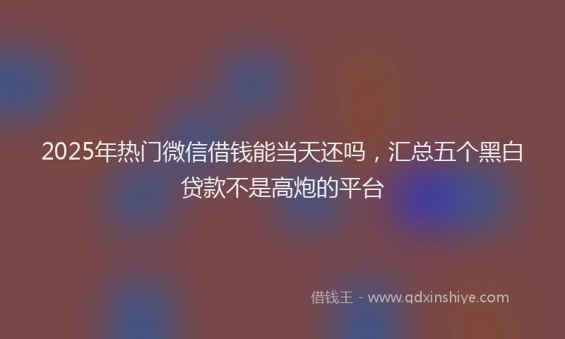 2025年热门微信借钱能当天还吗，汇总五个黑白贷款不是高炮的平台
