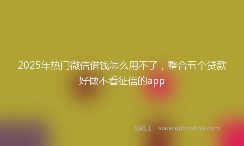 2025年热门微信借钱怎么用不了，整合五个贷款好做不看征信的app