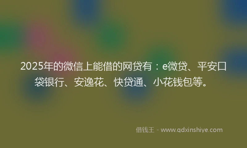 2025年的微信上能借的网贷有：e微贷、平安口袋银行、安逸花、快贷通、小花钱包等。