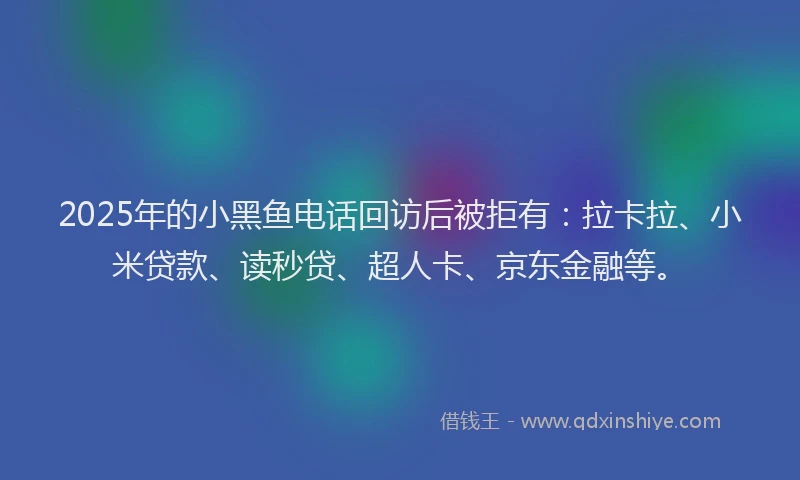 2025年的小黑鱼电话回访后被拒有：拉卡拉、小米贷款、读秒贷、超人卡、京东金融等。