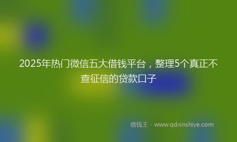 2025年热门微信五大借钱平台，整理5个真正不查征信的贷款口子