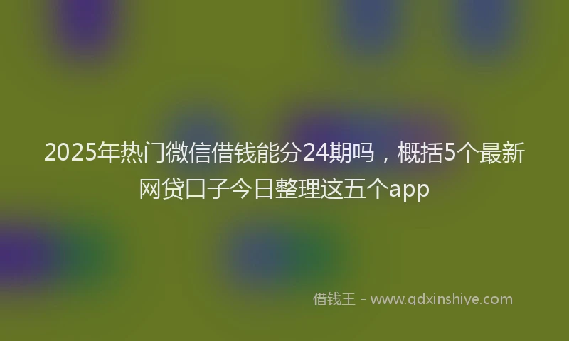 2025年热门微信借钱能分24期吗，概括5个最新网贷口子今日整理这五个app