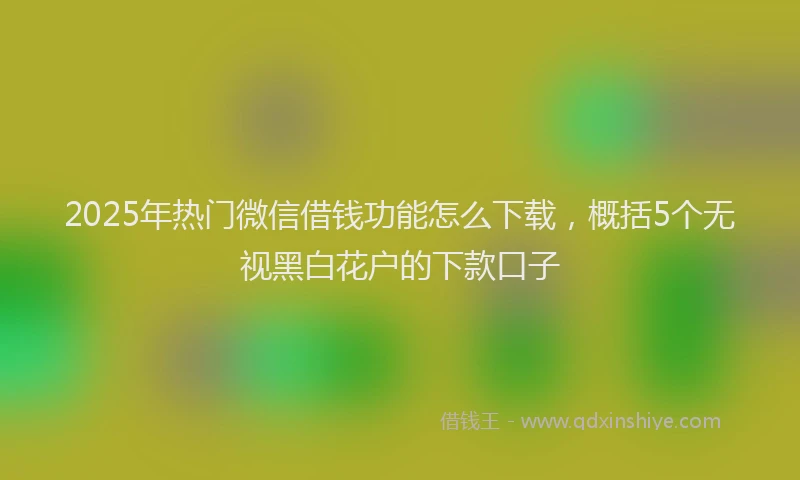 2025年热门微信借钱功能怎么下载，概括5个无视黑白花户的下款口子