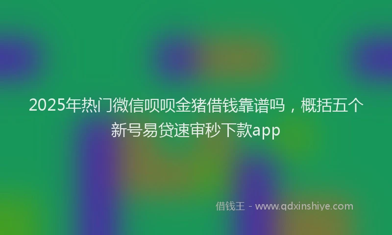 2025年热门微信呗呗金猪借钱靠谱吗，概括五个新号易贷速审秒下款app