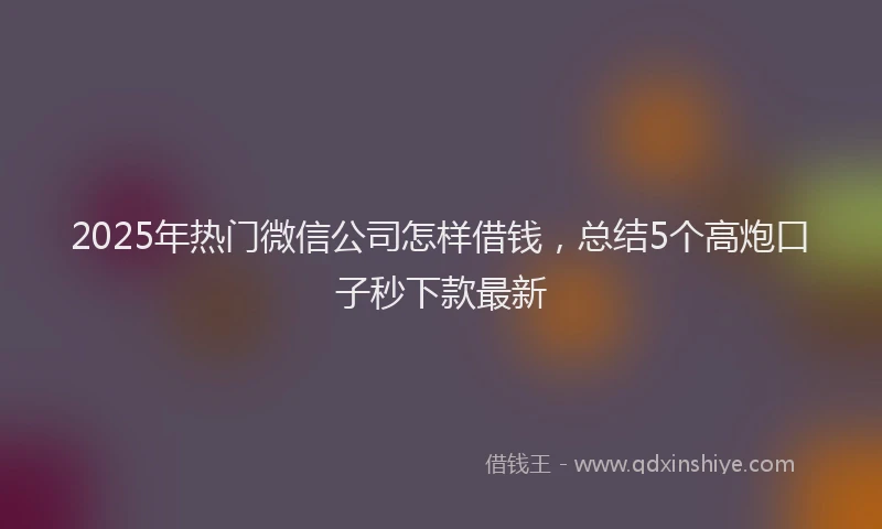 2025年热门微信公司怎样借钱，总结5个高炮口子秒下款最新
