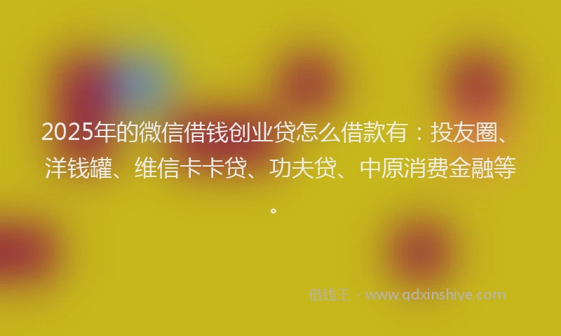 2025年的微信借钱创业贷怎么借款有：投友圈、洋钱罐、维信卡卡贷、功夫贷、中原消费金融等。