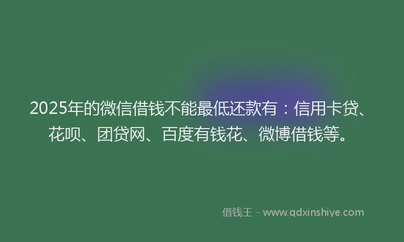 2025年的微信借钱不能最低还款有：信用卡贷、花呗、团贷网、百度有钱花、微博借钱等。