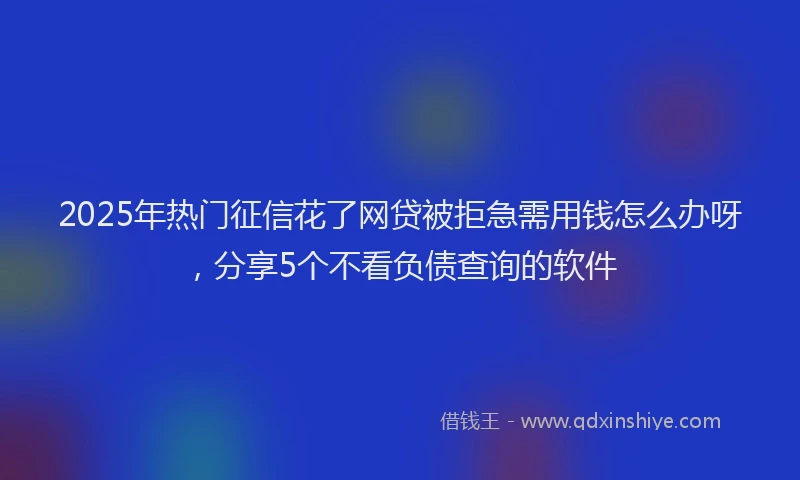 2025年热门征信花了网贷被拒急需用钱怎么办呀，分享5个不看负债查询的软件