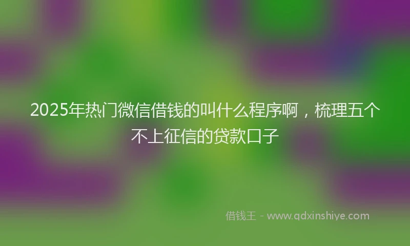 2025年热门微信借钱的叫什么程序啊，梳理五个不上征信的贷款口子