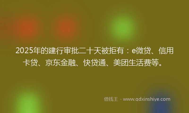 2025年的建行审批二十天被拒有：e微贷、信用卡贷、京东金融、快贷通、美团生活费等。
