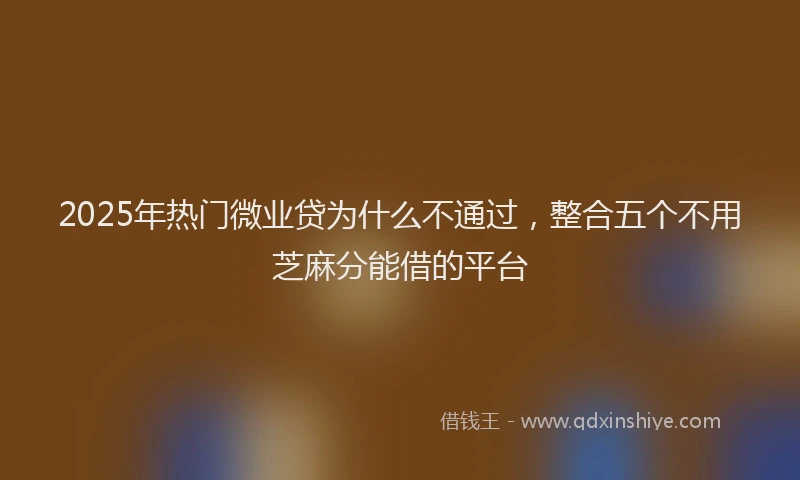 2025年热门微业贷为什么不通过，整合五个不用芝麻分能借的平台