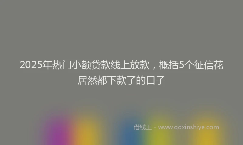 2025年热门小额贷款线上放款，概括5个征信花居然都下款了的口子