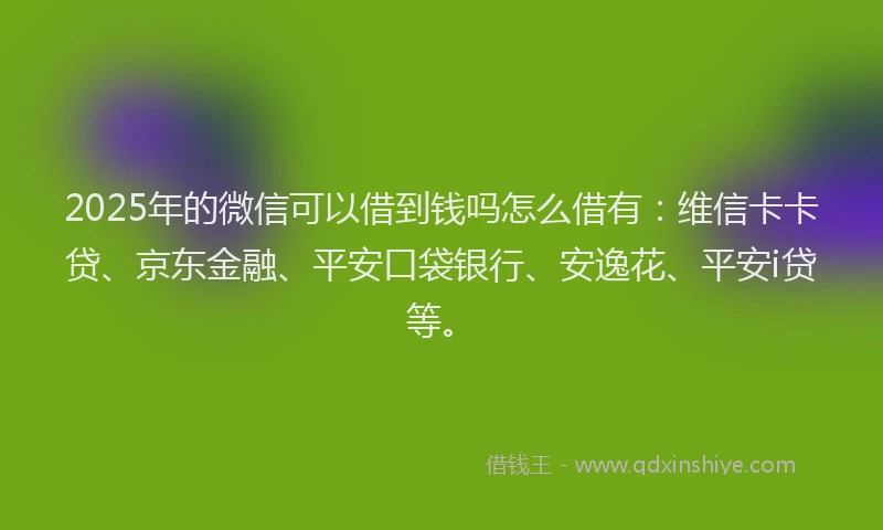 2025年的微信可以借到钱吗怎么借有：维信卡卡贷、京东金融、平安口袋银行、安逸花、平安i贷等。