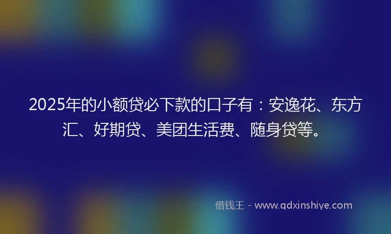 2025年的小额贷必下款的口子有：安逸花、东方汇、好期贷、美团生活费、随身贷等。
