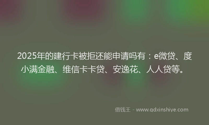 2025年的建行卡被拒还能申请吗有：e微贷、度小满金融、维信卡卡贷、安逸花、人人贷等。