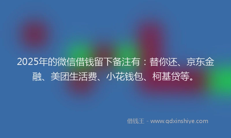 2025年的微信借钱留下备注有：替你还、京东金融、美团生活费、小花钱包、柯基贷等。