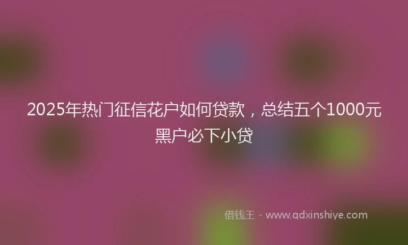 2025年热门征信花户如何贷款，总结五个1000元黑户必下小贷