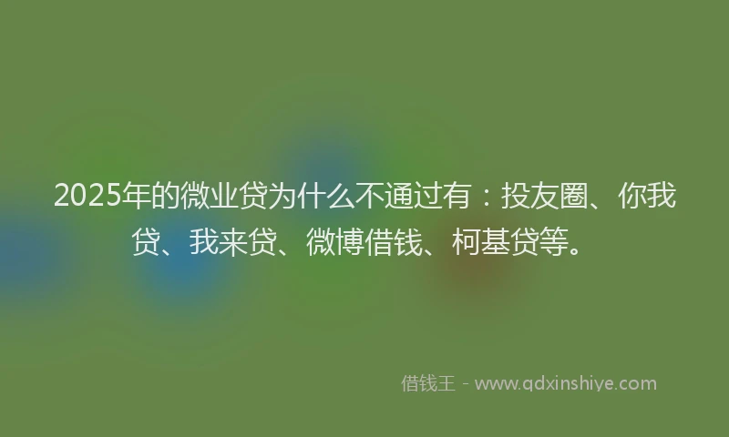 2025年的微业贷为什么不通过有：投友圈、你我贷、我来贷、微博借钱、柯基贷等。