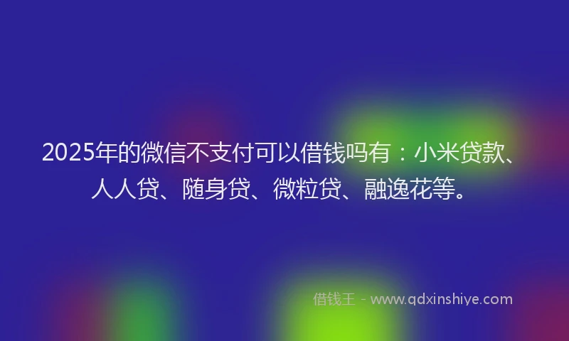2025年的微信不支付可以借钱吗有：小米贷款、人人贷、随身贷、微粒贷、融逸花等。