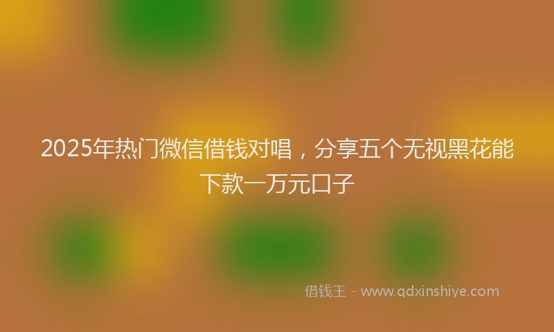 2025年热门微信借钱对唱，分享五个无视黑花能下款一万元口子