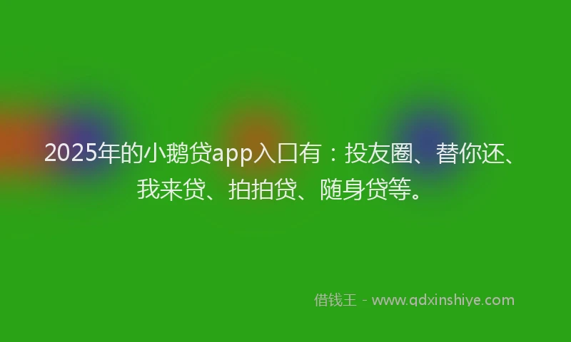 2025年的小鹅贷app入口有：投友圈、替你还、我来贷、拍拍贷、随身贷等。