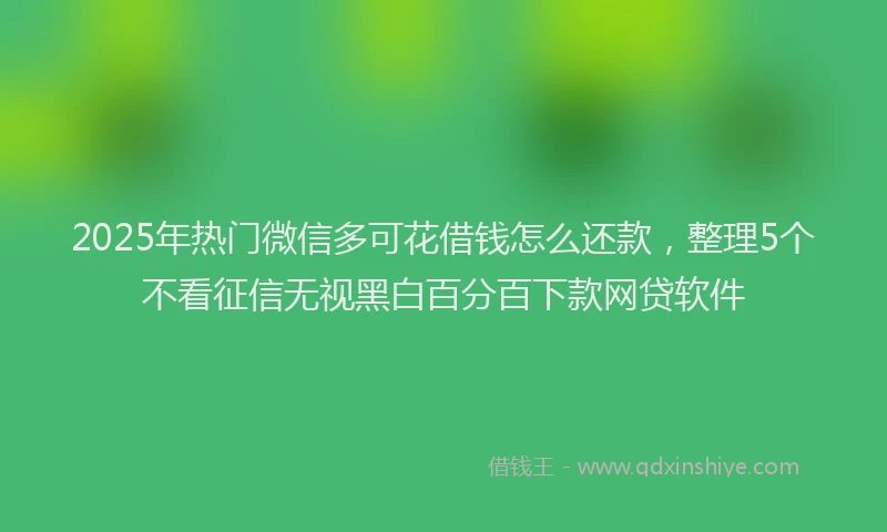 2025年热门微信多可花借钱怎么还款，整理5个不看征信无视黑白百分百下款网贷软件
