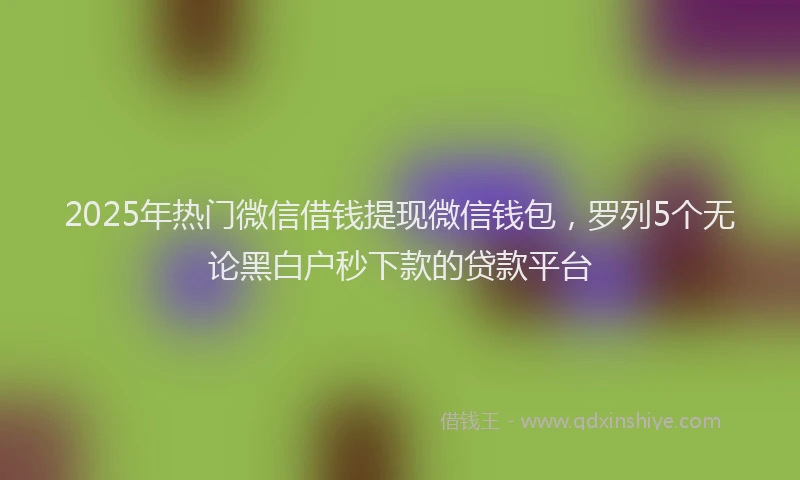 2025年热门微信借钱提现微信钱包，罗列5个无论黑白户秒下款的贷款平台
