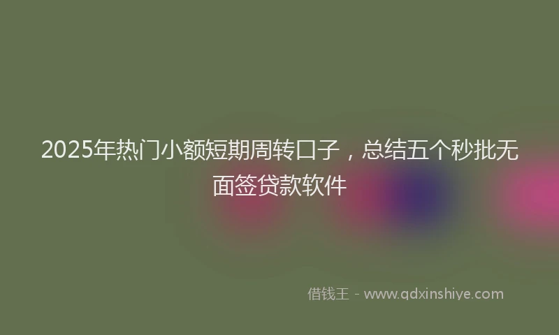 2025年热门小额短期周转口子，总结五个秒批无面签贷款软件