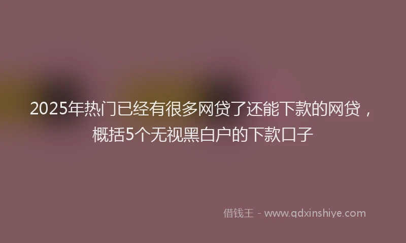 2025年热门已经有很多网贷了还能下款的网贷，概括5个无视黑白户的下款口子