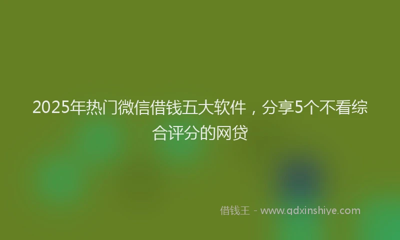 2025年热门微信借钱五大软件，分享5个不看综合评分的网贷