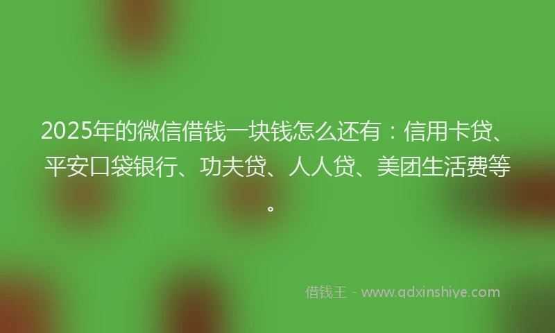 2025年的微信借钱一块钱怎么还有：信用卡贷、平安口袋银行、功夫贷、人人贷、美团生活费等。
