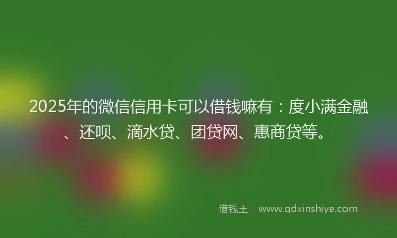 2025年的微信信用卡可以借钱嘛有：度小满金融、还呗、滴水贷、团贷网、惠商贷等。