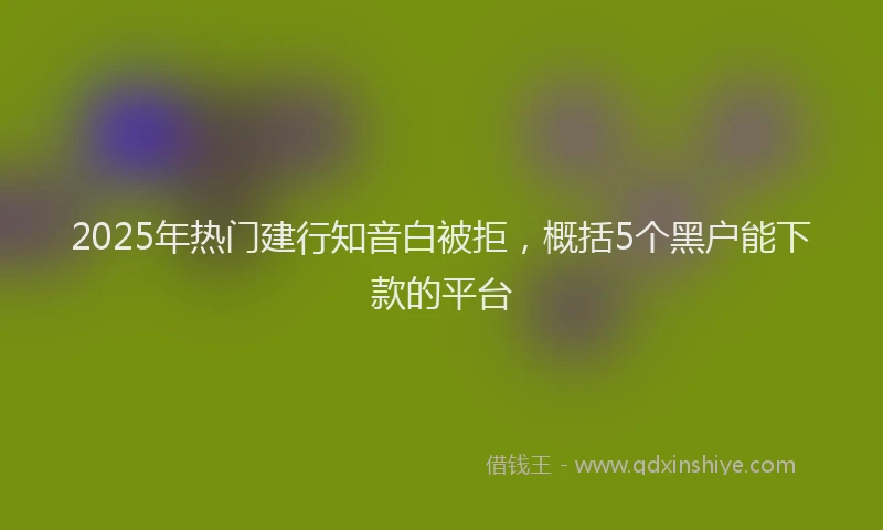2025年热门建行知音白被拒，概括5个黑户能下款的平台