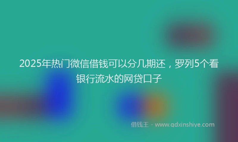 2025年热门微信借钱可以分几期还，罗列5个看银行流水的网贷口子