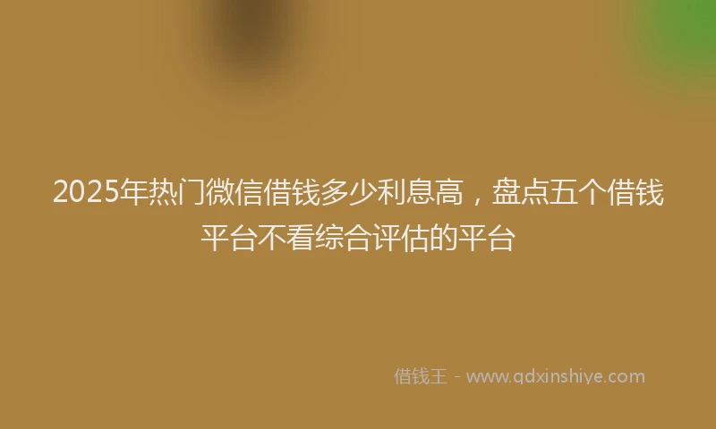 2025年热门微信借钱多少利息高，盘点五个借钱平台不看综合评估的平台