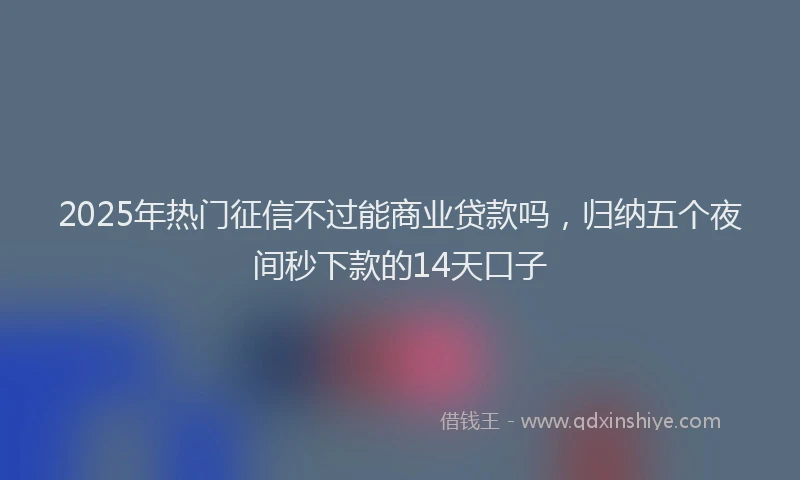 2025年热门征信不过能商业贷款吗，归纳五个夜间秒下款的14天口子
