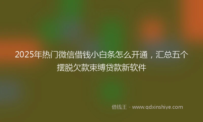 2025年热门微信借钱小白条怎么开通，汇总五个摆脱欠款束缚贷款新软件