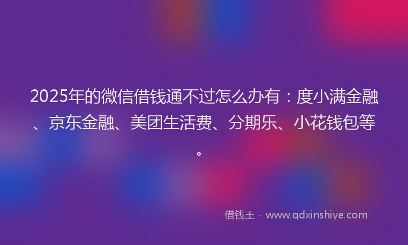 2025年的微信借钱通不过怎么办有：度小满金融、京东金融、美团生活费、分期乐、小花钱包等。