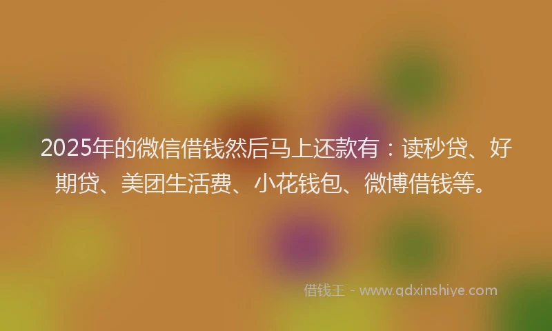2025年的微信借钱然后马上还款有：读秒贷、好期贷、美团生活费、小花钱包、微博借钱等。