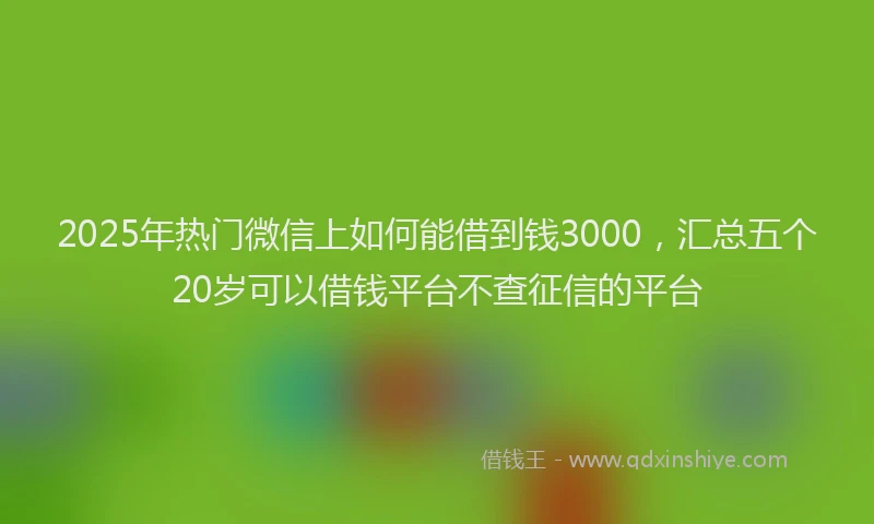 2025年热门微信上如何能借到钱3000，汇总五个20岁可以借钱平台不查征信的平台