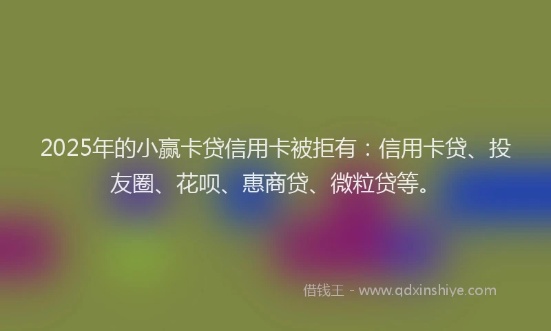 2025年的小赢卡贷信用卡被拒有：信用卡贷、投友圈、花呗、惠商贷、微粒贷等。