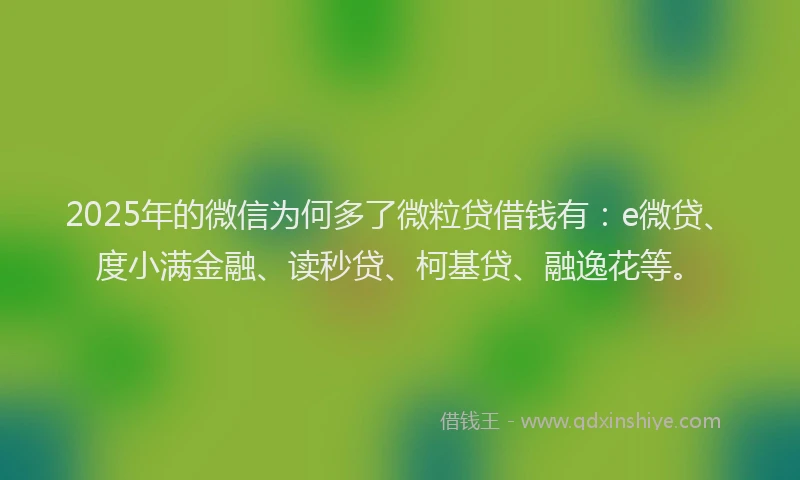 2025年的微信为何多了微粒贷借钱有：e微贷、度小满金融、读秒贷、柯基贷、融逸花等。