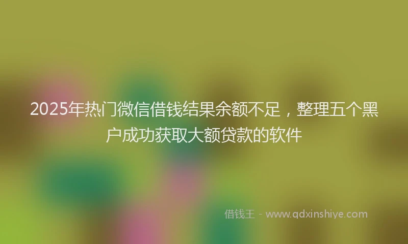 2025年热门微信借钱结果余额不足，整理五个黑户成功获取大额贷款的软件