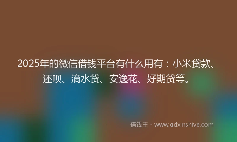 2025年的微信借钱平台有什么用有：小米贷款、还呗、滴水贷、安逸花、好期贷等。