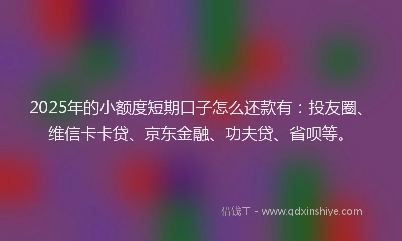 2025年的小额度短期口子怎么还款有：投友圈、维信卡卡贷、京东金融、功夫贷、省呗等。