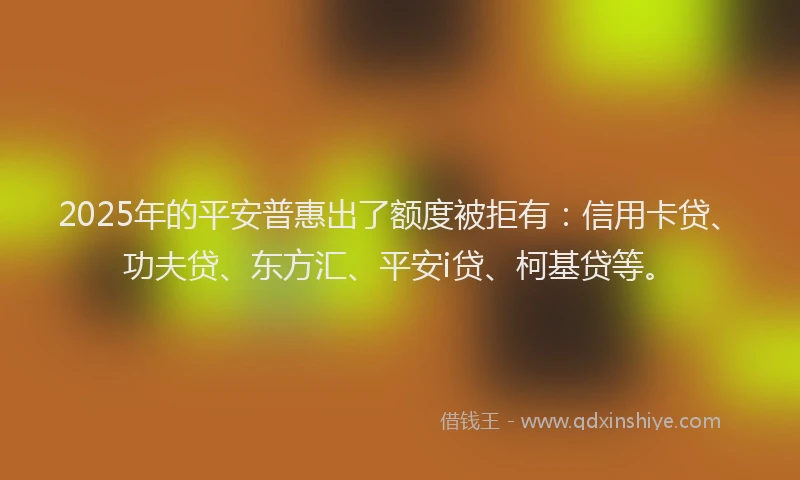 2025年的平安普惠出了额度被拒有：信用卡贷、功夫贷、东方汇、平安i贷、柯基贷等。
