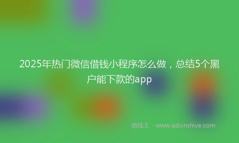 2025年热门微信借钱小程序怎么做，总结5个黑户能下款的app