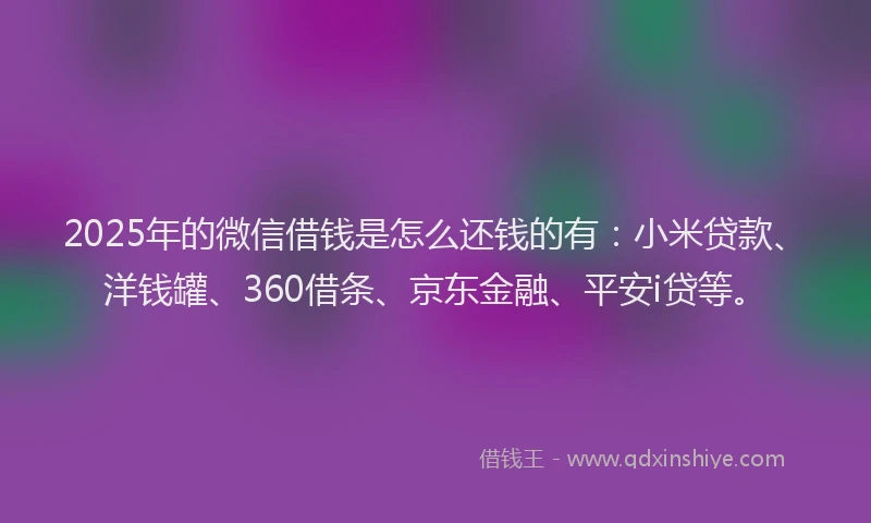 2025年的微信借钱是怎么还钱的有：小米贷款、洋钱罐、360借条、京东金融、平安i贷等。